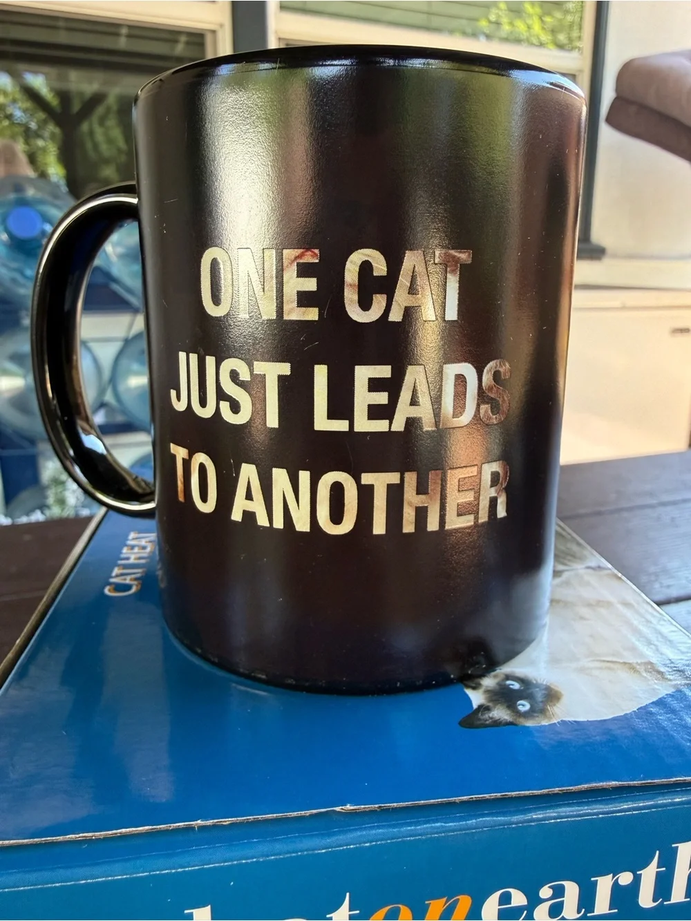 What on Earth Ceramic Cat Heat Change Mug 